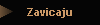 Zavicaju